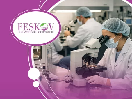 Evaluación de embriones: comprender la evaluación de la calidad de los embriones